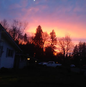 Meet your Posher, Mia